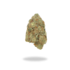 AAA+ Mike Tyson KO Trips (AAA) Buy Weed Online AAA+ Mike Tyson KO Trips (AAA) Buy Weed Online