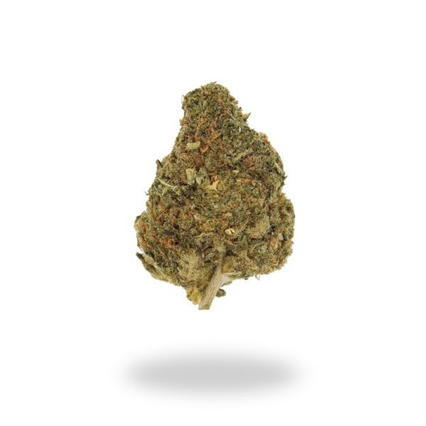 AA Grease Monkey Budget Buds Buy Weed Online