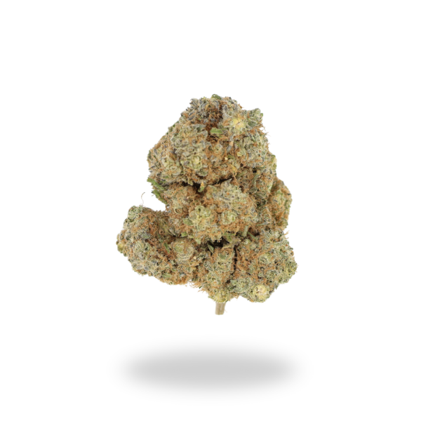 AAA+ Loyalty Flowers Buy Weed Online