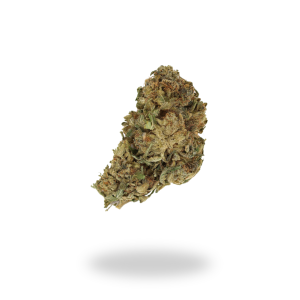 AA Dr. Who Budget Buds Buy Weed Online AA Dr. Who