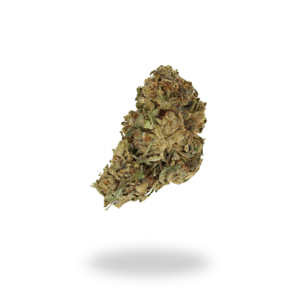 AA Dr. Who Budget Buds Buy Weed Online