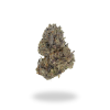 AAA+ Gelato 45 Flowers Buy Weed Online
