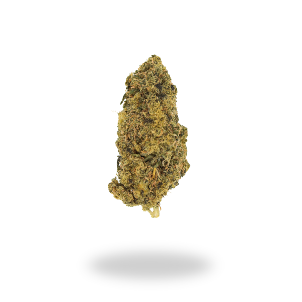 AA Lemon Pie Budget Buds Buy Weed Online