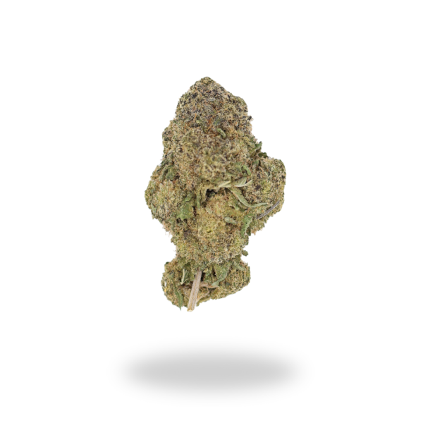 AAA White Widow budget buds Buy Weed Online