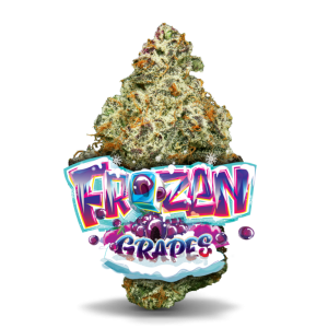 AAAA Frozen Grapes By Jungle Boys Flowers Buy Weed Online AAAA Frozen Grapes By Jungle Boys