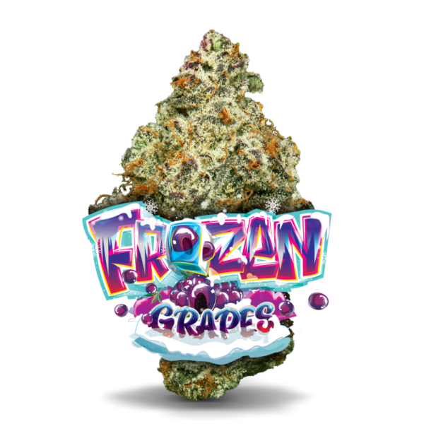 AAAA Frozen Grapes By Jungle Boys Flowers Buy Weed Online