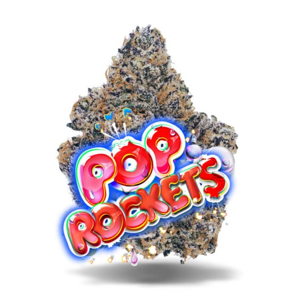AAAA Pop RocketsBy Jungle Boys Flowers Buy Weed Online