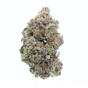 Gas-godz-permanent-marker-strain