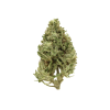 AA+ Cheesecake Flowers Buy Weed Online