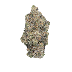 ⛽ AAAA Tom Ford By Gas Gods