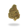 AA Midnight Cruiser Budget Buds Buy Weed Online