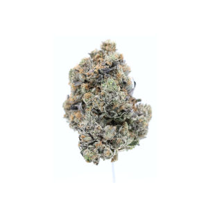 ⛽ AAAA Gator Breath by Jungle Boys