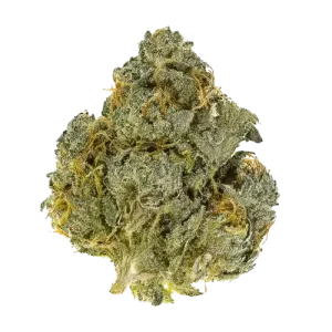 AA Gelato 33