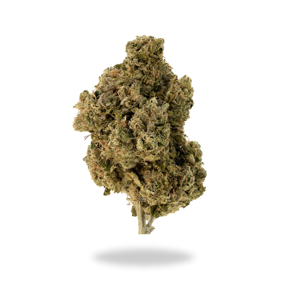 AA Ak-47 – Gram and Ounce Deal Flowers Buy Weed Online AA Ak-47 – Gram and Ounce Deal Flowers Buy Weed Online