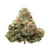 AAAA Blueberry Gelato Smalls Flowers Buy Weed Online AAAA Blueberry Gelato Smalls Flowers Buy Weed Online