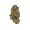 AA+ King Tut Flowers Buy Weed Online AA+ King Tut Flowers Buy Weed Online