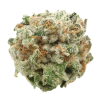 AAAA Biscotti Cream By Jungle Boys Flowers Buy Weed Online