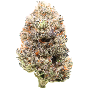 🏆 1st  Place Sativa Cup : AAAAA Amnesia Haze | LSO