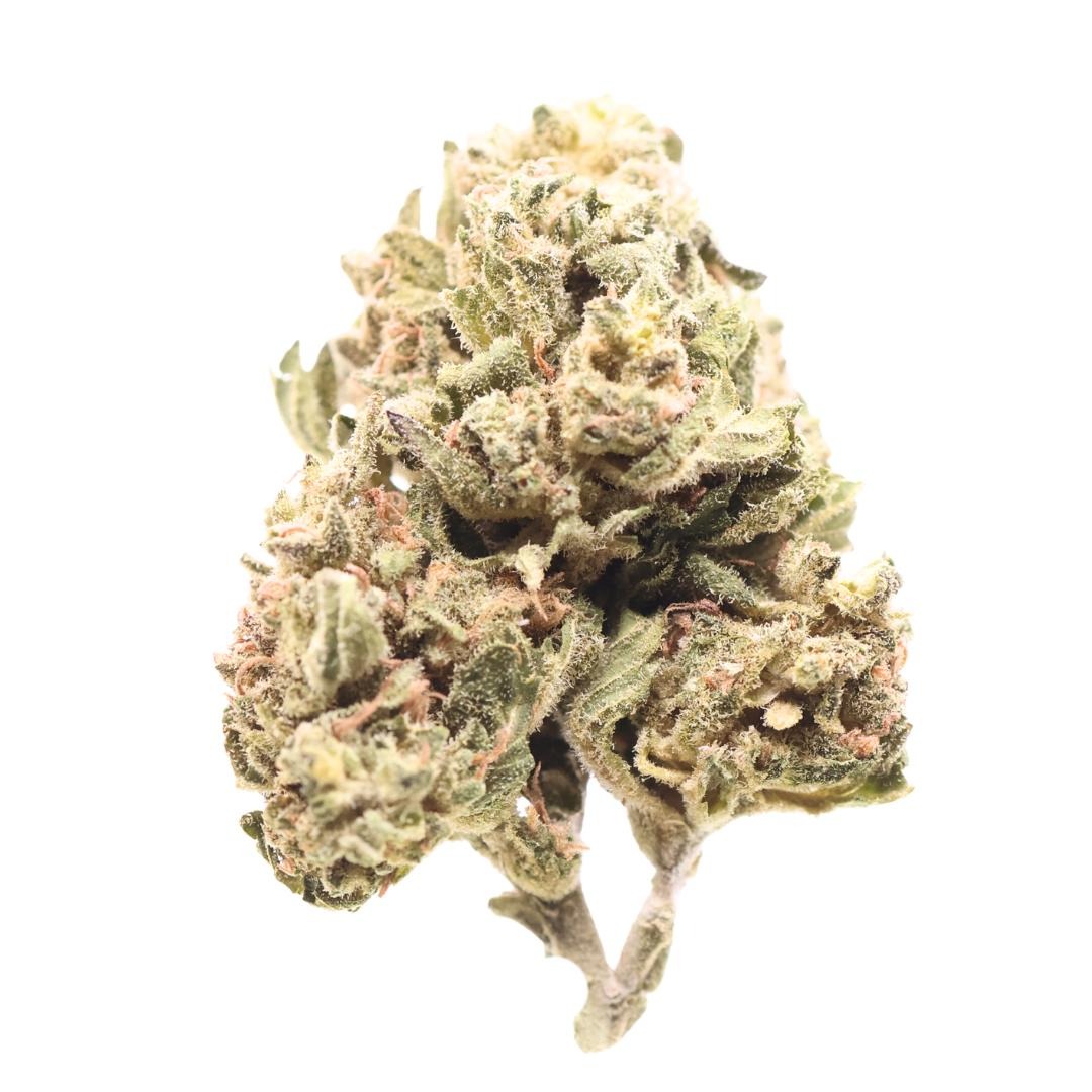 AA Marley’s Collie (Bob Marley’s Choice) Flowers Buy Weed Online AA Marley’s Collie (Bob Marley’s Choice) Flowers Buy Weed Online