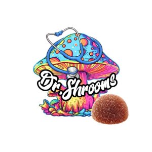Dr. Shroom – MoonCore™ 1000MG
