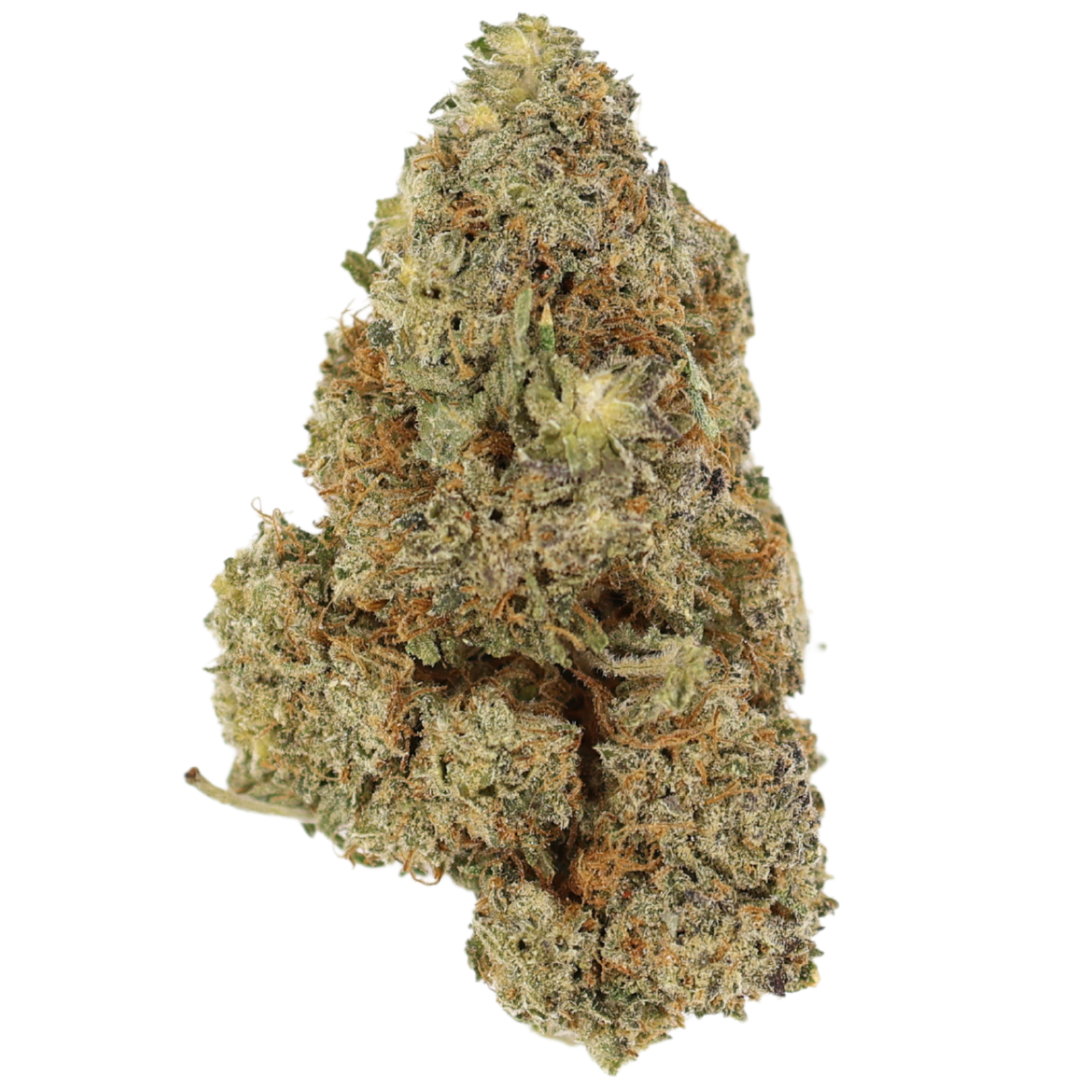 AAAA Black Maple Flowers Buy Weed Online AAAA Black Maple Flowers Buy Weed Online