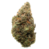 AAAA Mac Sherbet Flowers Buy Weed Online AAAA Mac Sherbet Flowers Buy Weed Online