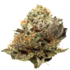 AAAA Alaskan Thunder Fuck Flowers Buy Weed Online